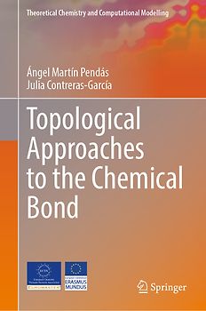 Topological Approaches to the Chemical Bond