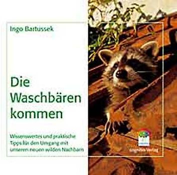 Die Waschbären kommen