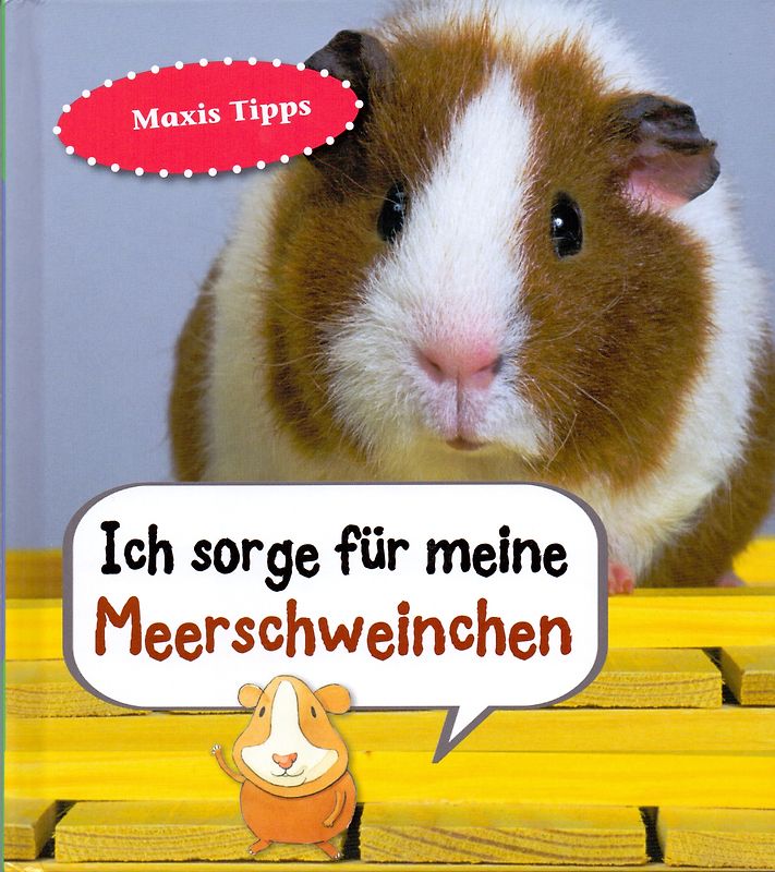 Meerschweinchen, Ich sorge für...