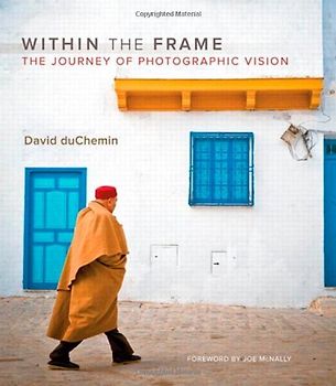 Within the Frame: The Journey of Photographic Vision (Voices That Matter)
