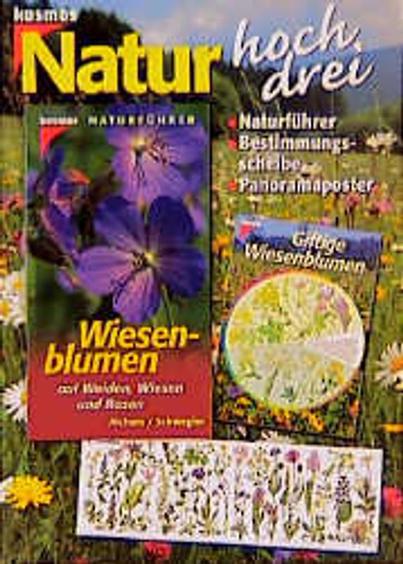 Wiesenblumen. Auf Weiden, Wiesen und Rasen