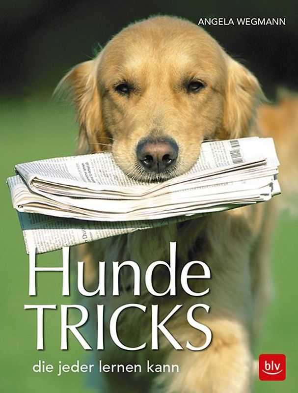 Hundetricks