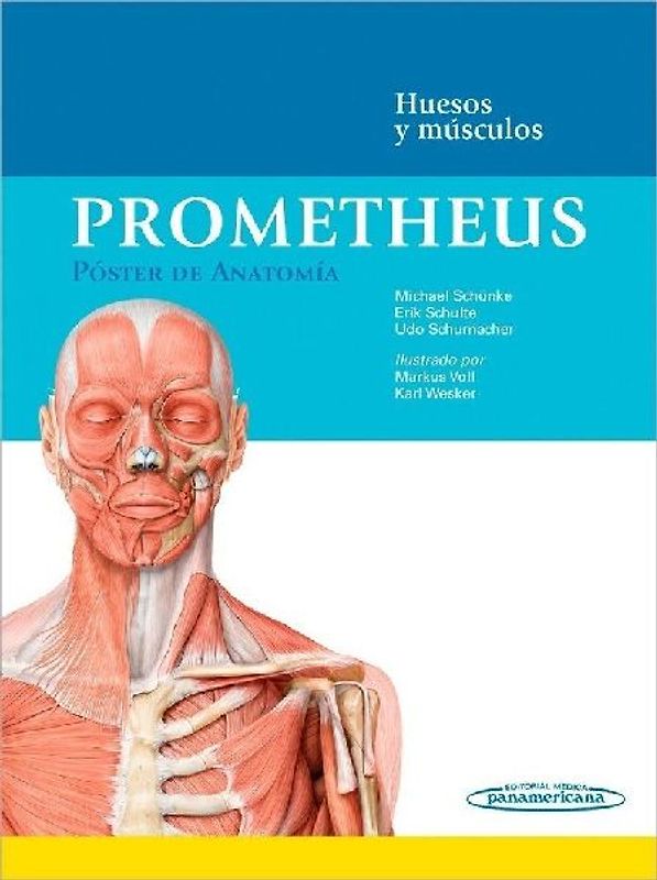 Prometheus : póster de anatomía : huesos y músculos