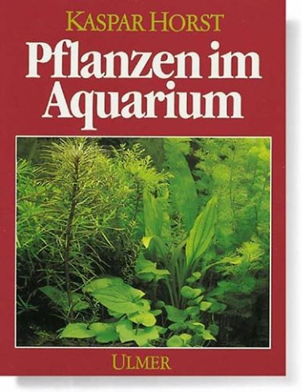 Pflanzen im Aquarium