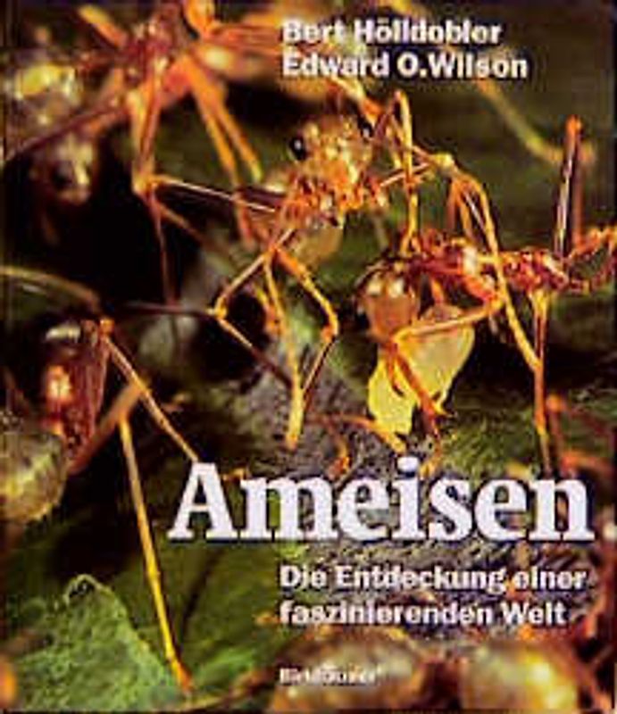 Ameisen