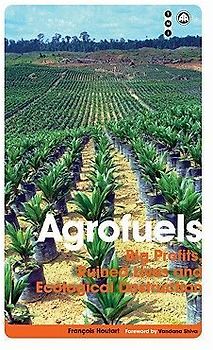 Agrofuels: Big Profits, Ruined Lives and Ecological Destruction