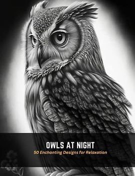 Owls at Night: 50 Enchanting Designs for Relaxation