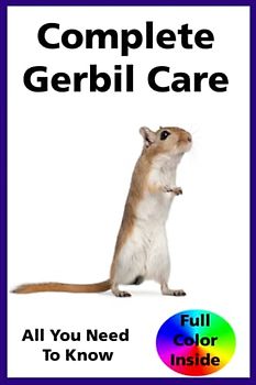 Complete Gerbil Care: A Comprehensive Guide to Caring For Your Gerbil: Make cheap hamster toys from cardboard, string and lollypop sticks