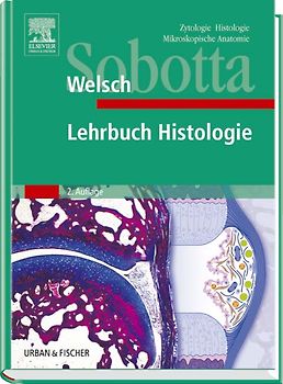 Sobotta Lehrbuch Histologie