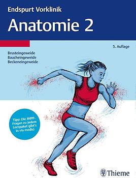 Endspurt Vorklinik: Anatomie 2