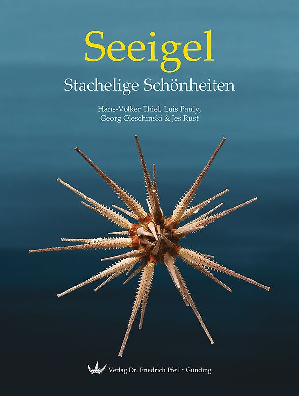Seeigel – Stachelige Schönheiten