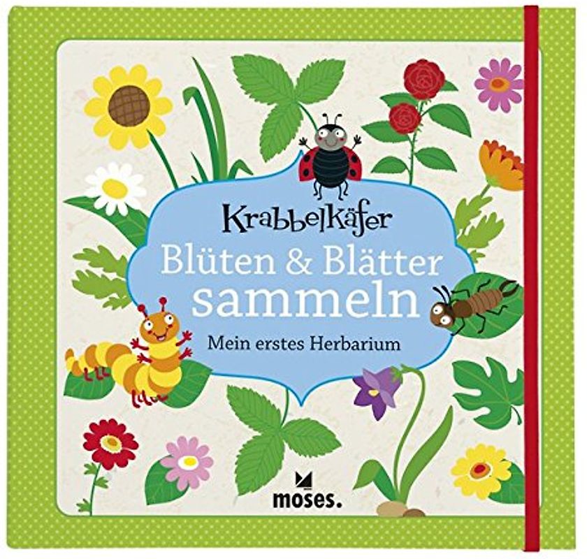 Blüten & Blätter sammeln