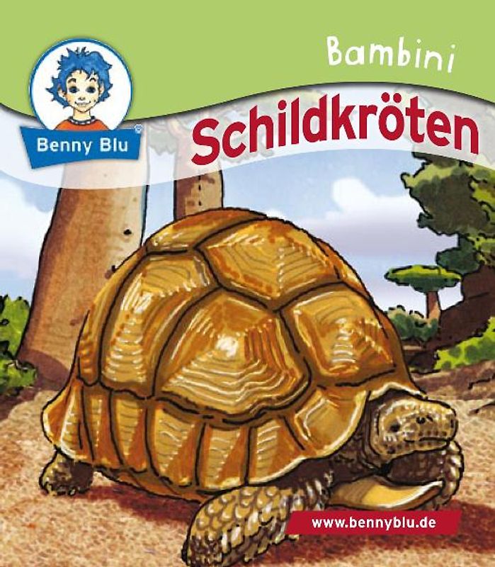 Bambini Schildkröten. Bestandteil der Bambini Starter-Box