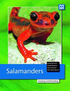 Salamanders