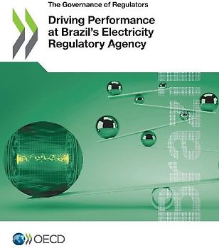 Driving Performance at Brazil's Electricity Regulatory Agency