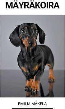 Mäyräkoira