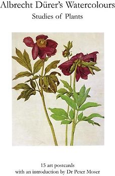 Albrecht Dürer´s Watercolours, Studies of Plants