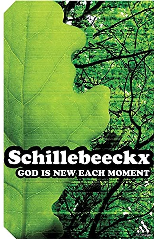 God is New Each Moment (Continuum Impacts)