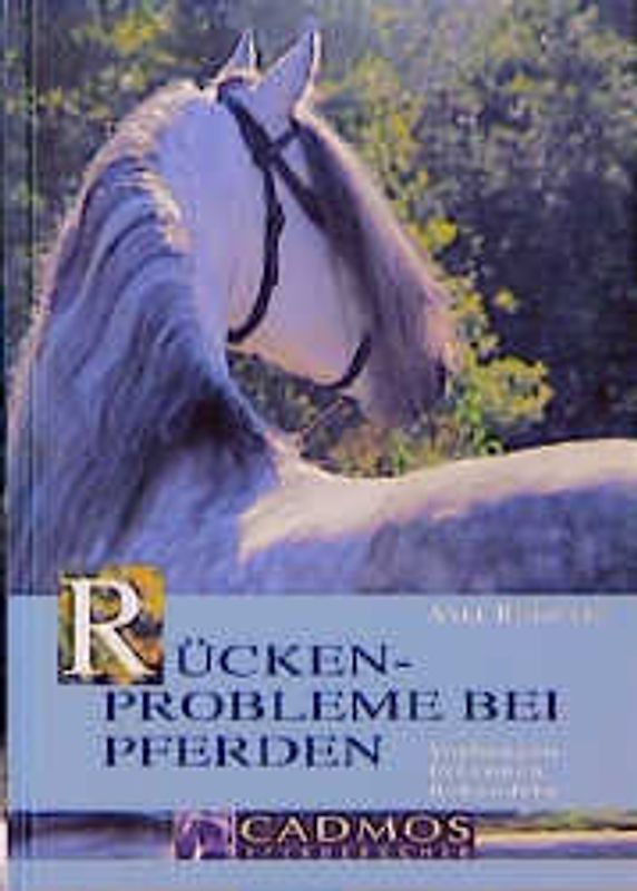 Rückenprobleme bei Pferden