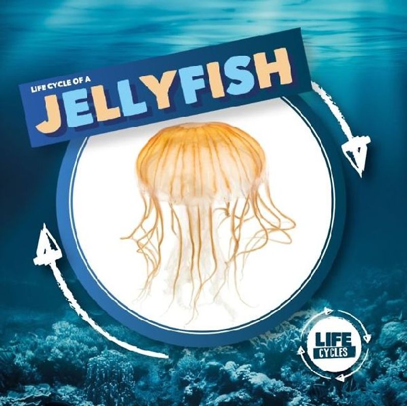 Jellyfish
