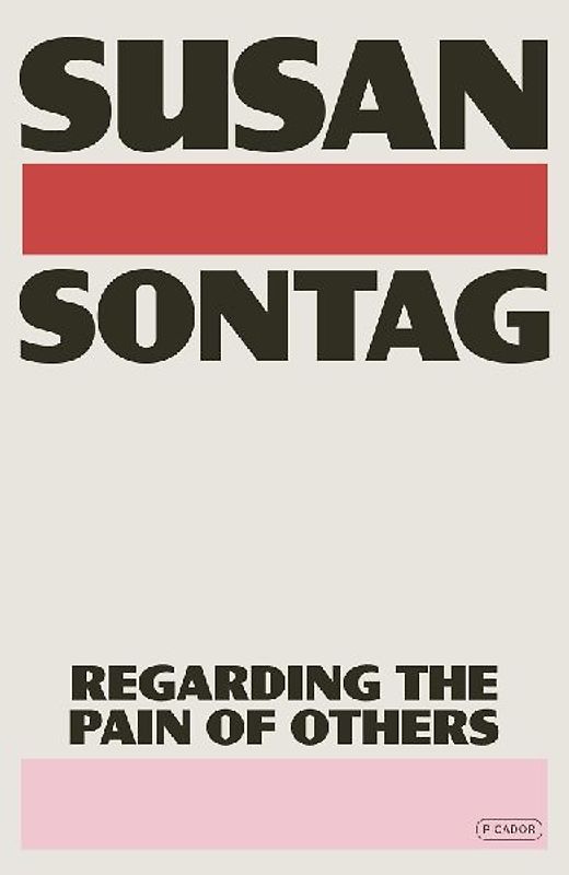 Regarding the Pain of Others