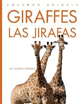 Giraffes / Las Jirafas
