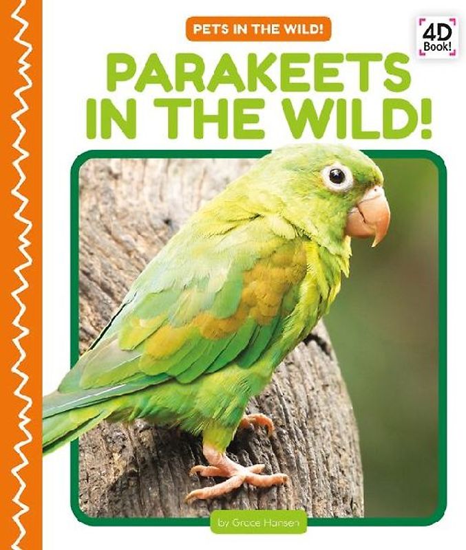Parakeets in the Wild!
