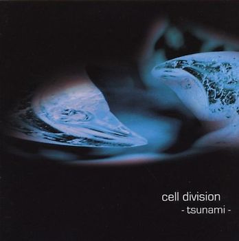 Cell Division - Tsunami