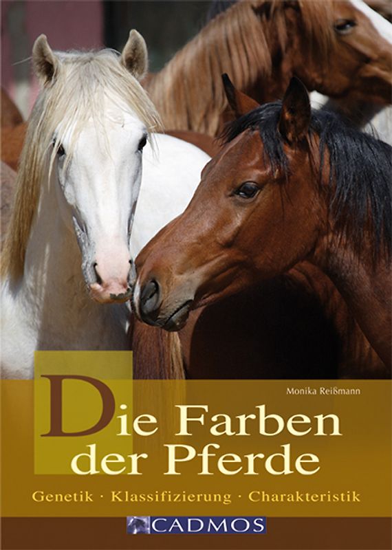 Die Farben der Pferde