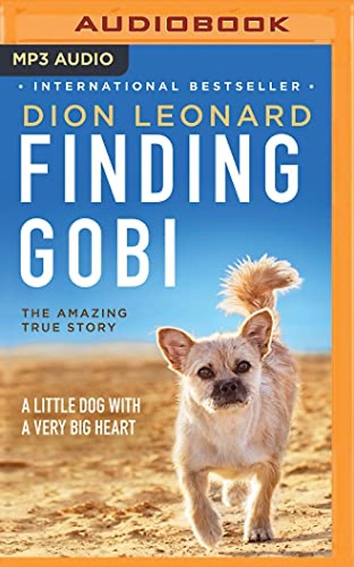 Finding Gobi: A Little Dog with a Very Big Heart
