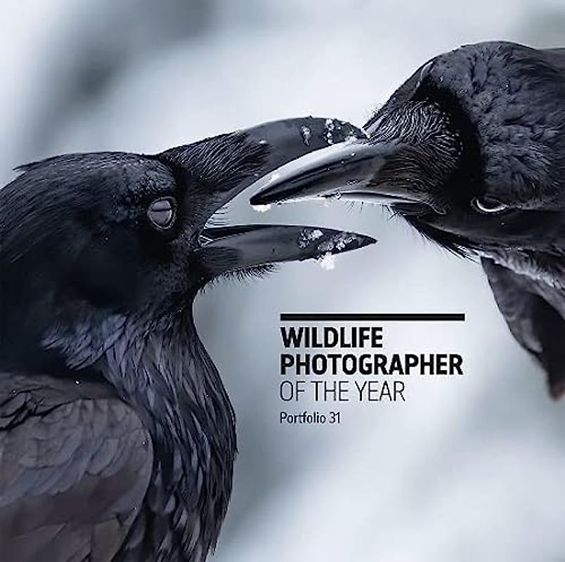 Wildlife Photographer of the Year Portfolio: Portfolio 31 (Wildlife Photographer of the Year, 31)