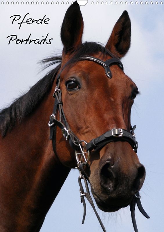 Pferde Portraits (Posterbuch DIN A4 hoch)