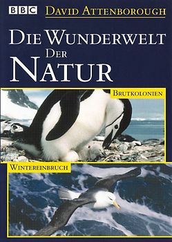 BBC David Attenborough: Die Wunderwelt der Natur - Brutkolonien / Wintereinbruch [Weltbild] DVD