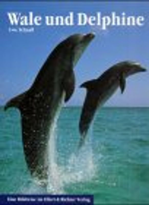 Wale und Delphine
