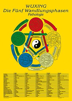 Die Fünf Wandlungsphasen: Pathologie. Lehrtafel in A4