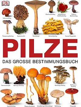 Pilze