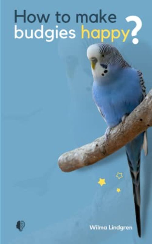 How To Make Budgies Happy?