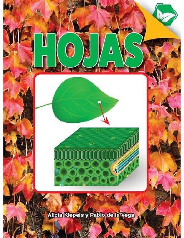 Hojas