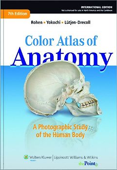 Color Atlas of Anatomy - international edition