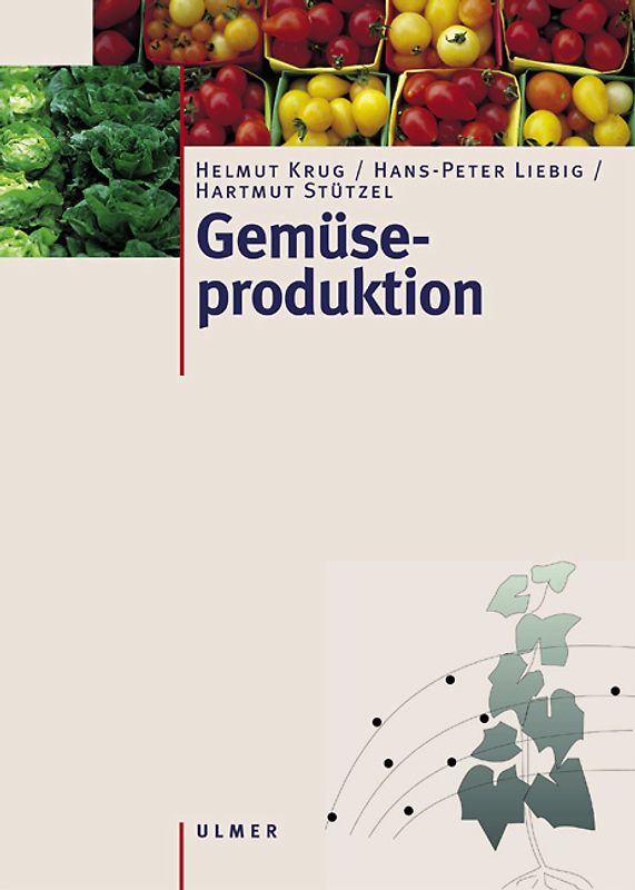 Gemüseproduktion