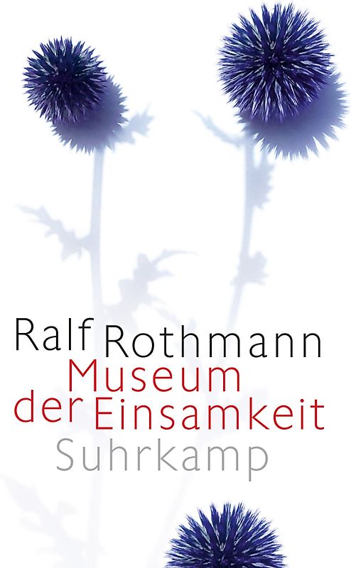 Museum der Einsamkeit