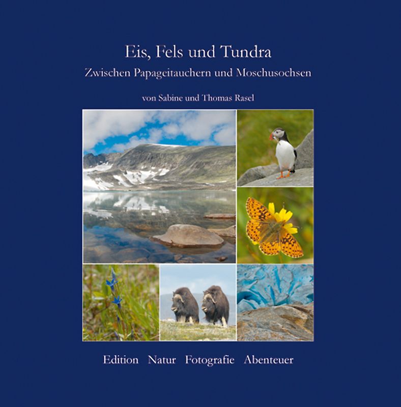 Eis, Fels und Tundra