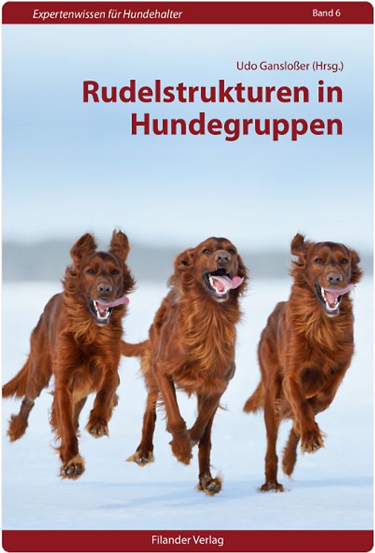 Rudelstrukturen in Hundegruppen