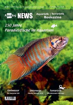 News Bookazine Nr.: 7 (Herbst 2019)