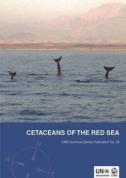 Cetaceans of the Red Sea