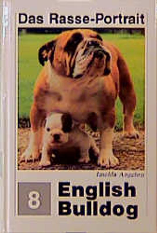 English Bulldog