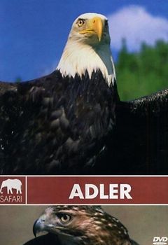 Safari: Adler DVD