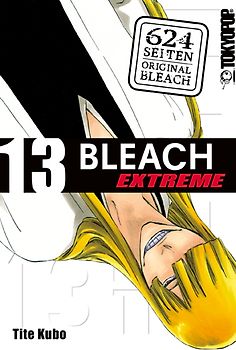 Bleach EXTREME 13
