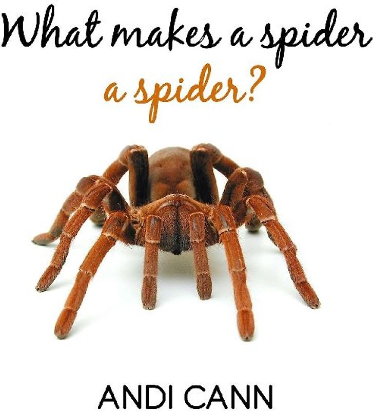 What Makes a Spider a Spider