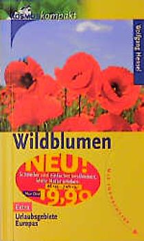 Wildblumen
